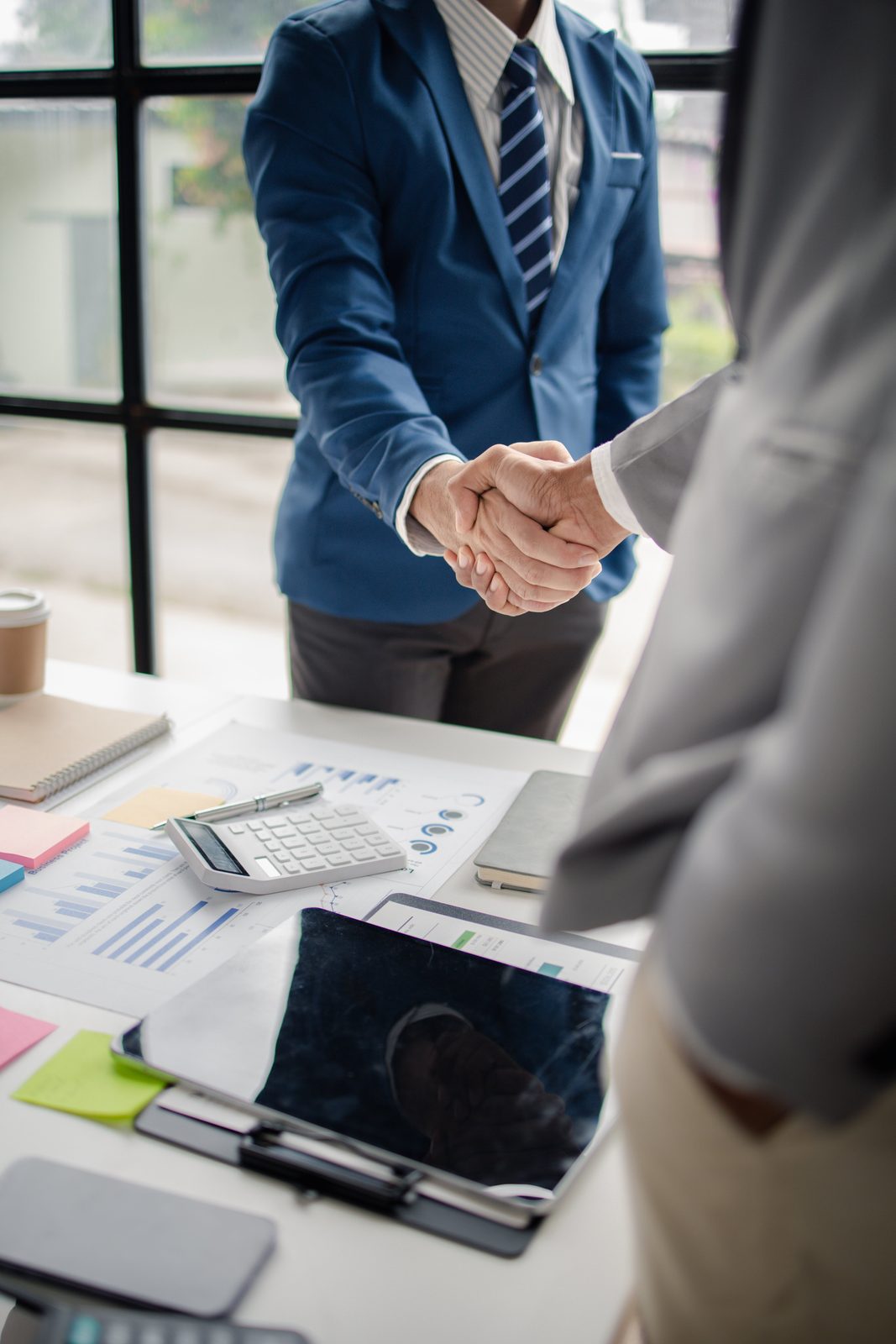 GeoDigit business consultation